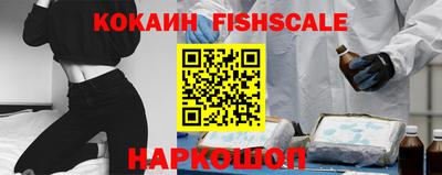 крисы Новодвинск