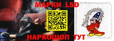 крисы Новодвинск