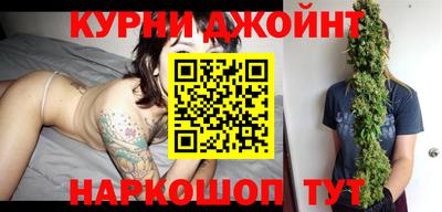 крисы Новодвинск