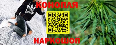 крисы Новодвинск
