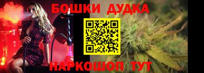 крисы Новодвинск