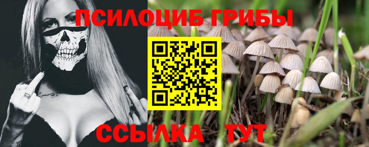Галлюциногенные грибы Magic Shrooms Сыктывкар