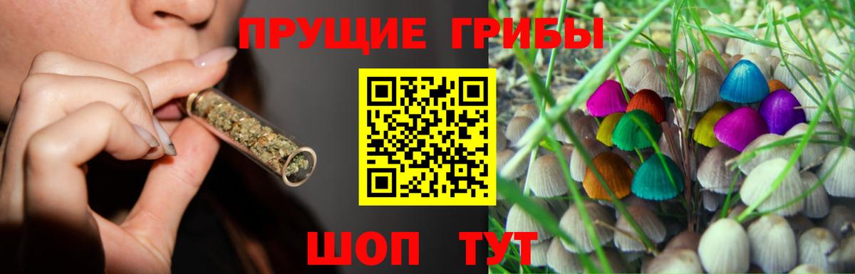 Галлюциногенные грибы мухоморы  Галлюциногенные грибы MAGIC MUSHROOMS  Вход с VPN  Сыктывкар 
